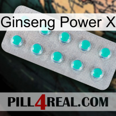 Ginseng Power X 28